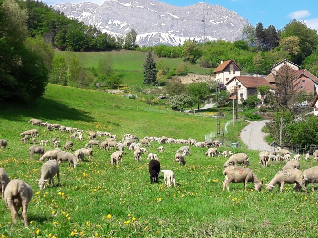 Les Clarines Perceneige - Chambre D'Hotes Vue Sur Montagne & Spa Saint-Jacques-en-Valgodemard Eksteriør bilde